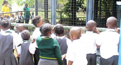 Pupils visit to the Abuja Zoo